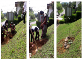 හුස්ම දෙන තුරු - 2021