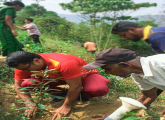 “ජාතික නිදහස් සැමරුම හා රුක් රෝපණ වැඩසටහන”
