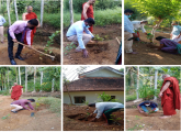 74 නිදහස් උළෙලට සමගාමීව සිදු කරන රුක් රෝපණ වැඩසටහන