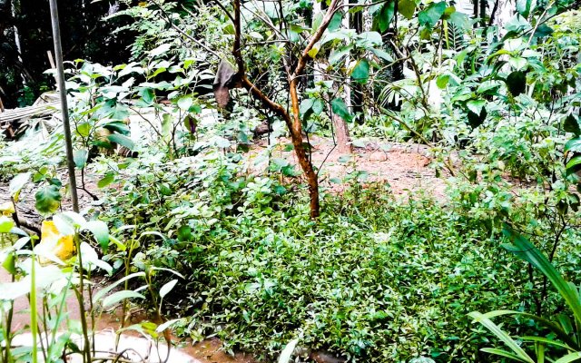 වැඩිහිටි ගෙවතු වගා වැඩසටහන 2018