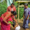 ග්‍රාමශක්ති දිස්ත්‍රික් ප්‍රධාන උත්සවය - පිංකන්ද වසම
