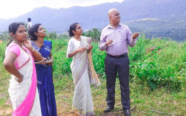 සරුංගල් සැනකෙළිය 
