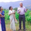 සරුංගල් සැනකෙළිය 