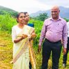සරුංගල් සැනකෙළිය 